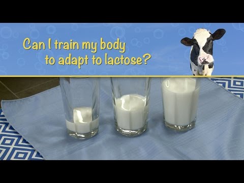 Can I train my body to adapt to lactose
