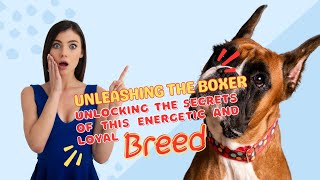 'Unleashing the Boxer: The Ultimate Guide to Boxer Dogs Revealed!'