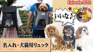 名前入れ！犬ペットキャリー “WINSUN”チワワ・トイプードル・小型犬・猫ちゃん用リュックサック