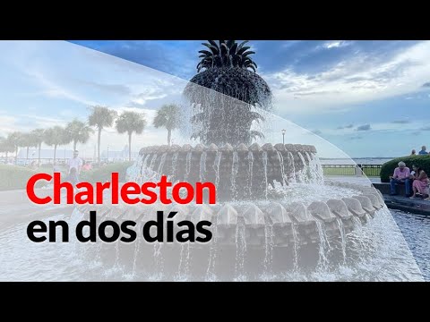 Vídeo: As melhores viagens de um dia saindo de Charleston