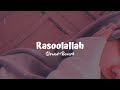 Rasoolallahslowedreverbsalaalabmobails slowedandreverb trending youtube