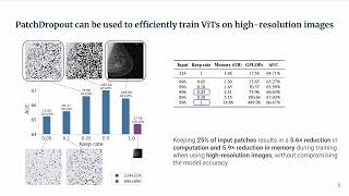 PatchDropout: Economizing Vision Transformers Using Patch Dropout Profile
