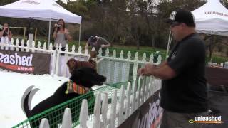Summer Snow Day at Unleashed by Petco