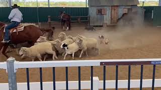 Longreach - Stockland Hall of Fame