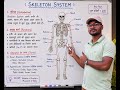 skeleton system #activity #viral
