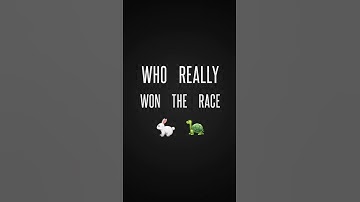 Linky Innovation and Meepo eBoard Fun ... "Race" with GoPro Max