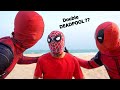 SPIDER-MAN Bros vs Double DEADPOOL In Real Life ( SuperHeroes Comedy Video )