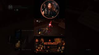 PvP gone right | #herrwolf333hz sur #darksoulsremastered #twitchfr