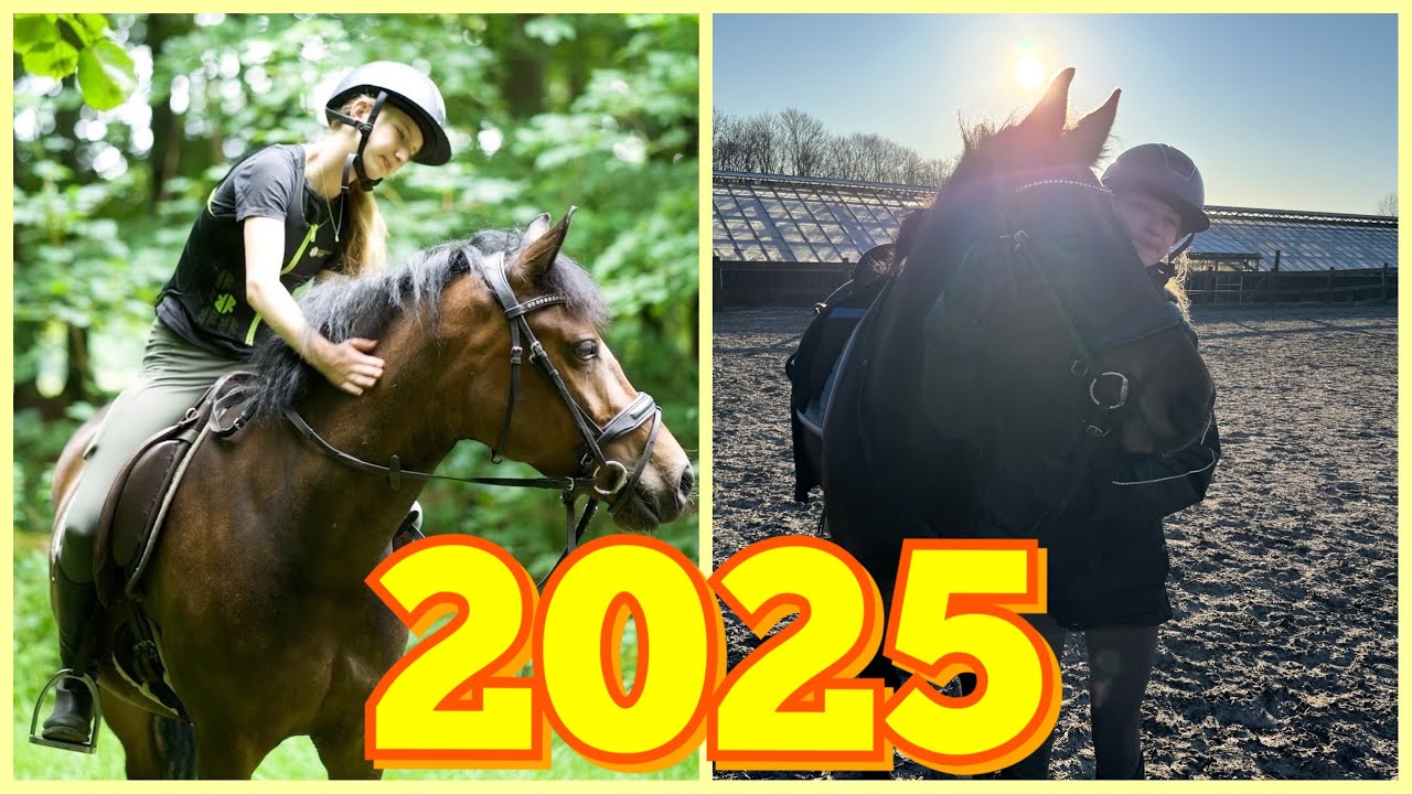 Året der gik 2025