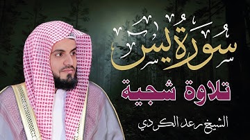 تلاوة شجية لسورة يــس " كاملة " كما لم تسمعها من قبل 🎧 | رعد الكردي | Surah Yasin by Raad Al Kurdi