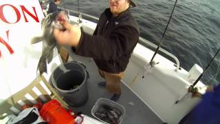 December 5th Wreckfish Hampton Lady