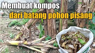 Cara membuat kompos dari batang pisang yang kaya manfaat sebagai penyubur tanaman