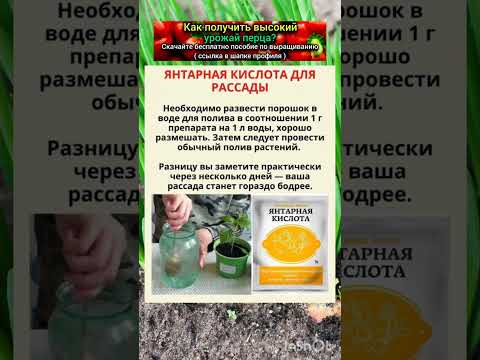 как применяют янтарную кислоту для рассады