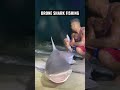 💥DRONE SHARK FISHING💥 #fish #fishing #florida #longisland #newyork #shark #beach #sharkfishing #ny