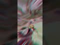 Wait for end#bgmimobile #gaming #Mass_op#gameplay #dominator #shorts 🥵🔥