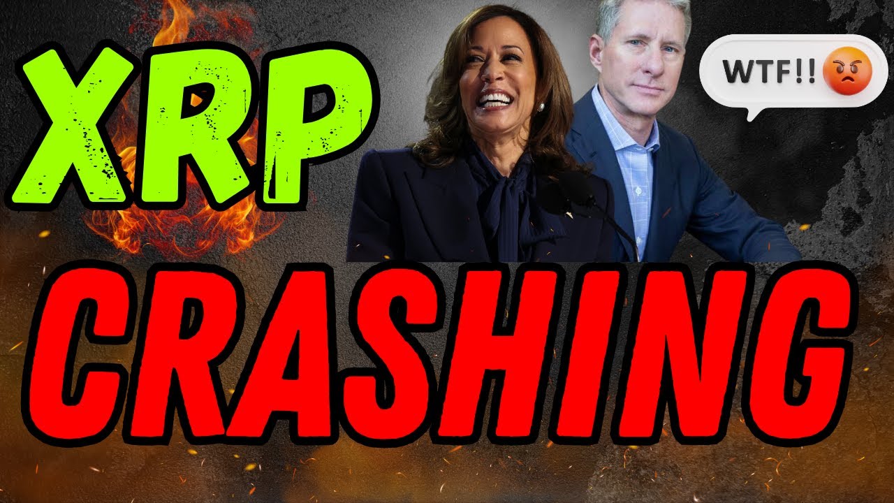 XRP CRASH WTF JUST HAPPEND TO CRYPTO YouTube XRP CRASH WTF JUST HAPPEND TO CRYPTO YouTube