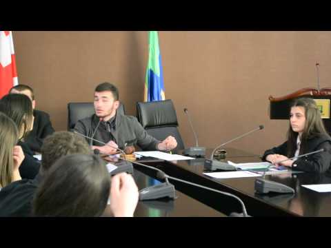 პლენარული სხდომა #1