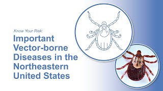 Know Your Risk: Important Vector-borne Diseases in the Northeastern United States by Penn State Extension 59 views 4 months ago 3 minutes, 44 seconds