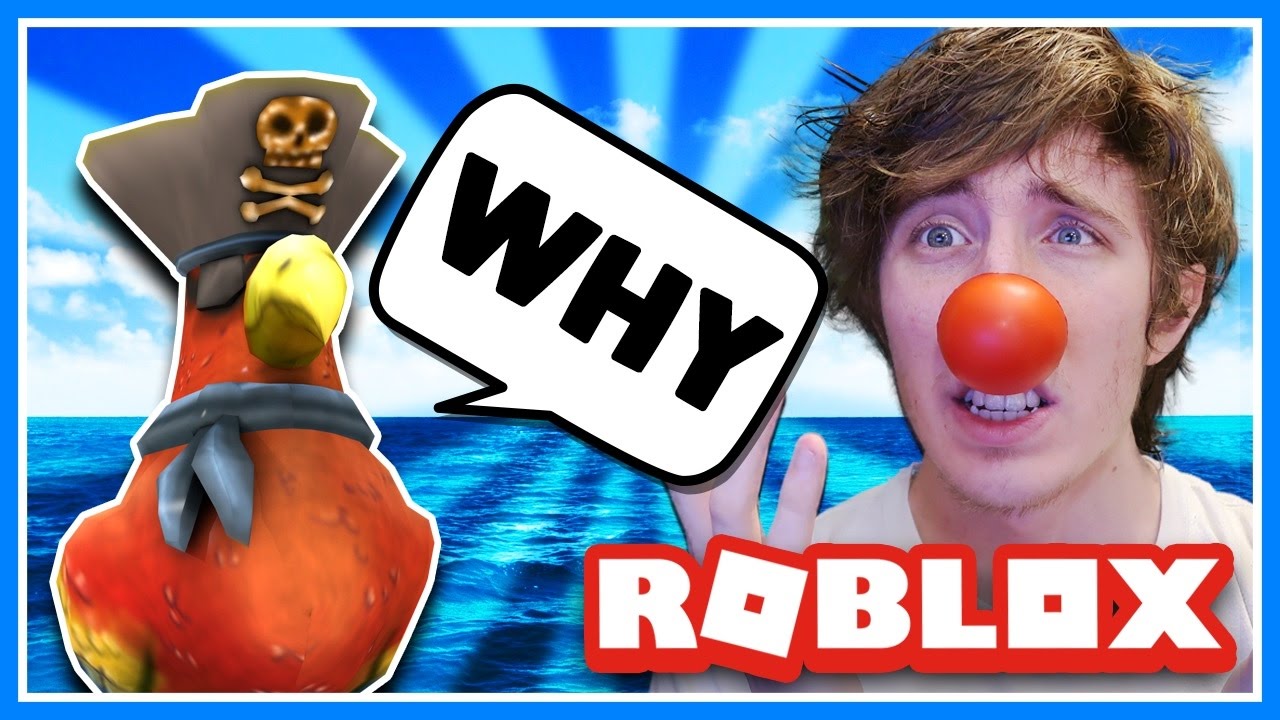 How To Get Steve The Pirate Parrot Roblox Buried Treasure Event Pirates Of The Caribbean - 