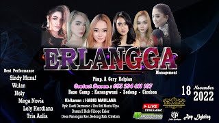 Live ERLANGGA || Khitanan : HABIBI MAULANA || Panonganlor Sedong Cirebon (Malam) 18 November 2022