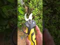 electric scissors easy use save time #tool P7428