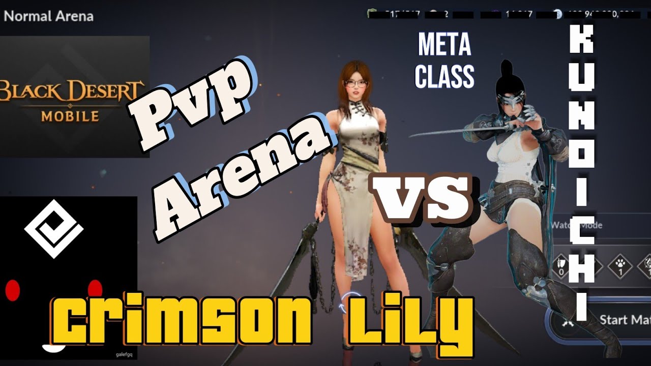 Crimson Lily vs Meta Class: Kunoichi [ Black Desert Mobile ]