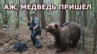 видео: Аааа... ПЕРВЫЙ РАЗ ЗА 10 ЛЕТ НАШЁЛ ЕЁ!!! Даже медведь танцевал! картинка: Аааа... ПЕРВЫЙ РАЗ ЗА 10 ЛЕТ НАШЁЛ ЕЁ!!! Даже медведь танцевал!