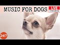 Live dog music relaxing music to calm anxious dogs separation anxiety relief musicdog sleep2