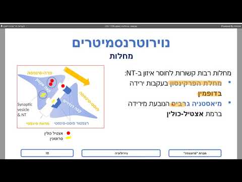 פרוגנוזה מבואות אנטומיה פיזיולוגיה של המערכת הנוירולוגית סיעוד