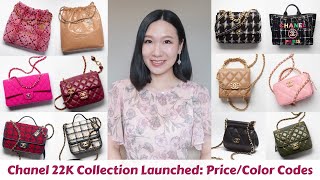 CHANEL FALL-WINTER 2022/23 (22K) COLLECTION REVIEW: Colors, Price, Mod  Shots 🤎 香奈儿秋冬22K包评