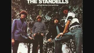 Video thumbnail of "THE STANDELLS  - Wild Thing"