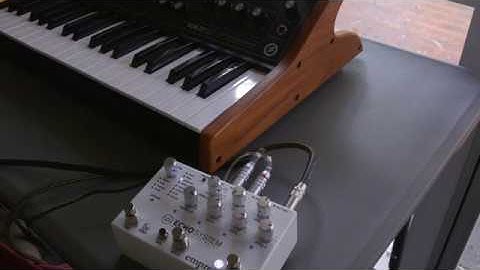 Empress echosystem with Moog Sub 37 - drunk ewok setting