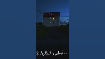 {فَمَا ظَنُّكُمْ بِرَبّ اَلْعَٰلَمِينَ} سورة الصافات || ماهر المعيقلي #قران_كريم @MaherAlMuaiqly