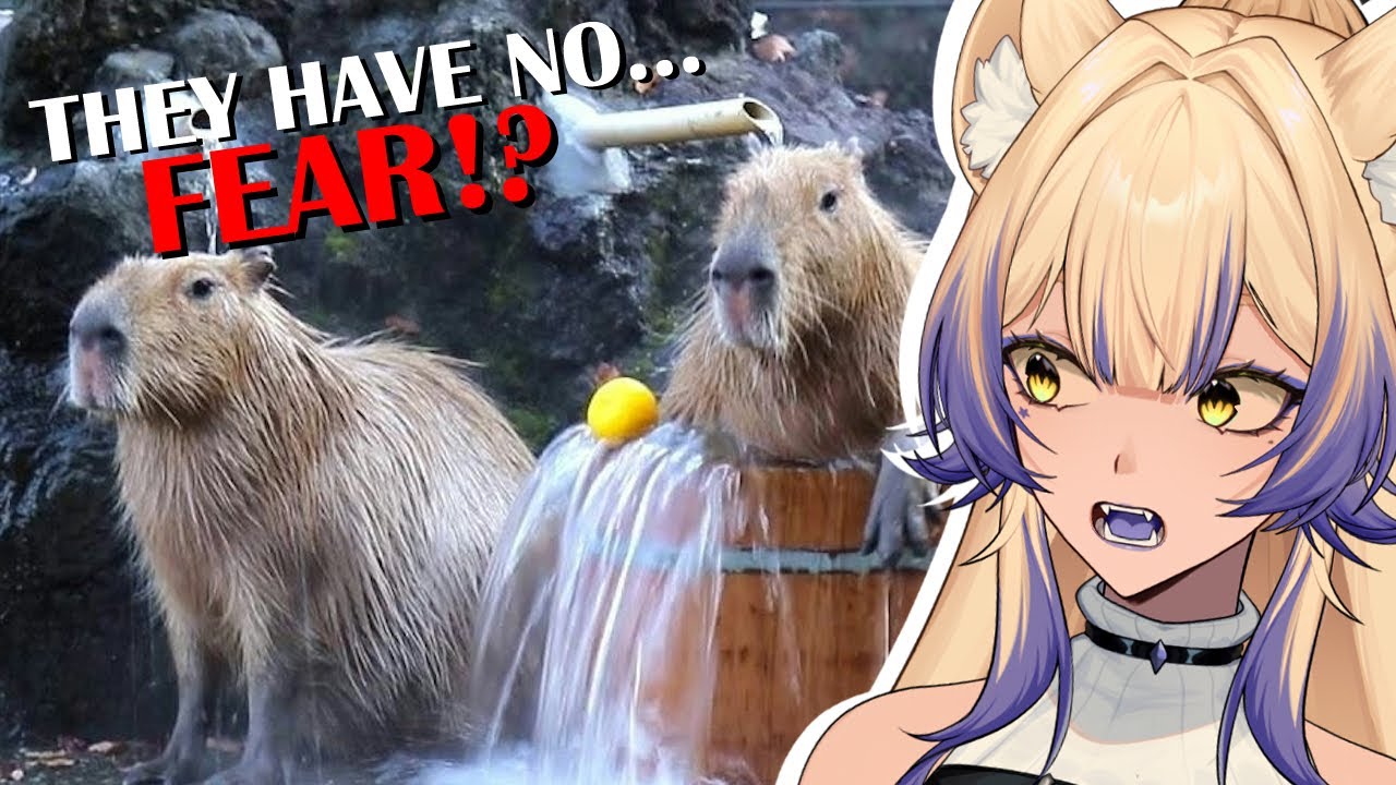 They will DESTROY | The Science Behind the Unproblematic Nature of the Capybara | Casual Geographic