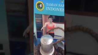 Cewe Seksi badan Indah Betul