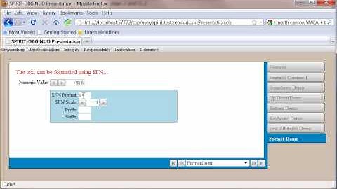 InterSystems Zen Numeric Up/Down (NUD) Control