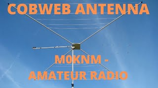 Cobweb Antenna