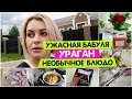 УЖАСНАЯ БАБУЛЯ / Ураган / Необычное блюдо / Рецепт / Vika Siberia LifeVlog