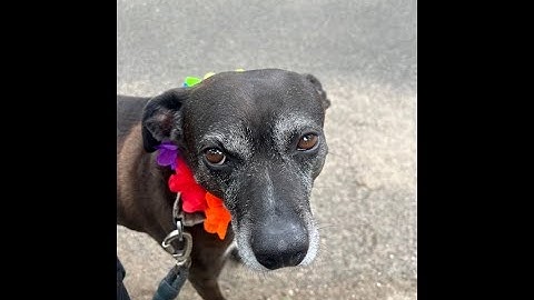 ENG 102: MOD 1 Assignment