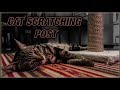 DIY Cat Scratching Post. Super Cheap And Easy!! DIY Cat Scratching Post. Super Cheap And Easy!!
