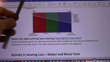 ACC Biol2401 API Lab24 Sensory Physiology Lab Instructions
