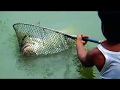 15 KG Big Catla Fish Hunting And Fishing Videos By Sagor In Hatiar Dighi