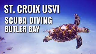 Scuba Diving ST. CROIX, USVI Butler Bay with Stingrays and Turtles