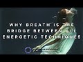 Why breath is the bridge between all energetic techniques