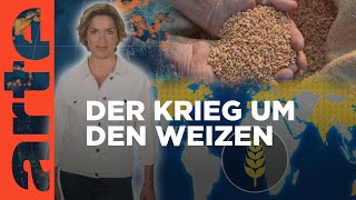 Ernährungsunsicherheit: Der Krieg um den Weizen