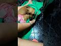 Lakiki De Lastias Tiene Frío Soyavefenix Shorts Mascotas Perros Perroslindos Perrosfelices Lakiki De Lastias Tiene Frío Soyavefenix Shorts Mascotas Perros Perroslindos Perrosfelices