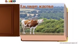 Как Говорят Животные (Звуки Животных) - Развивающее Видео Для Детей (1)