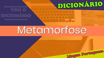 Qual é o substantivo de metamorfose?