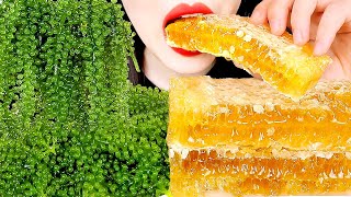 ASMR RAW HONEYCOMB SEA GRAPES 바다포도 벌집꿀 먹방 MUKBANG EATING SOUNDS 咀嚼音 蜂の巣 ハニカム | ZOEY ASMR 조이