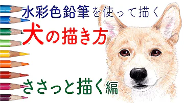 リアルな犬の描き方簡単